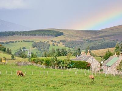 Honey Cottage Auchnarrow Luaran gambar